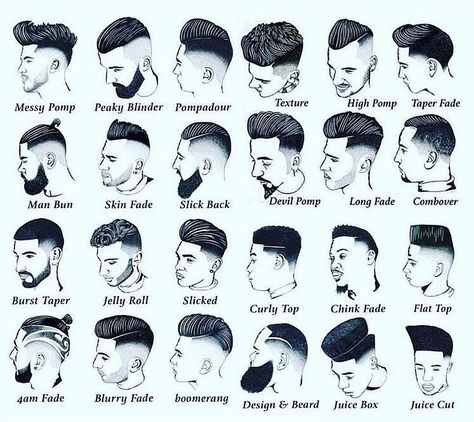 Different Styles and Looks